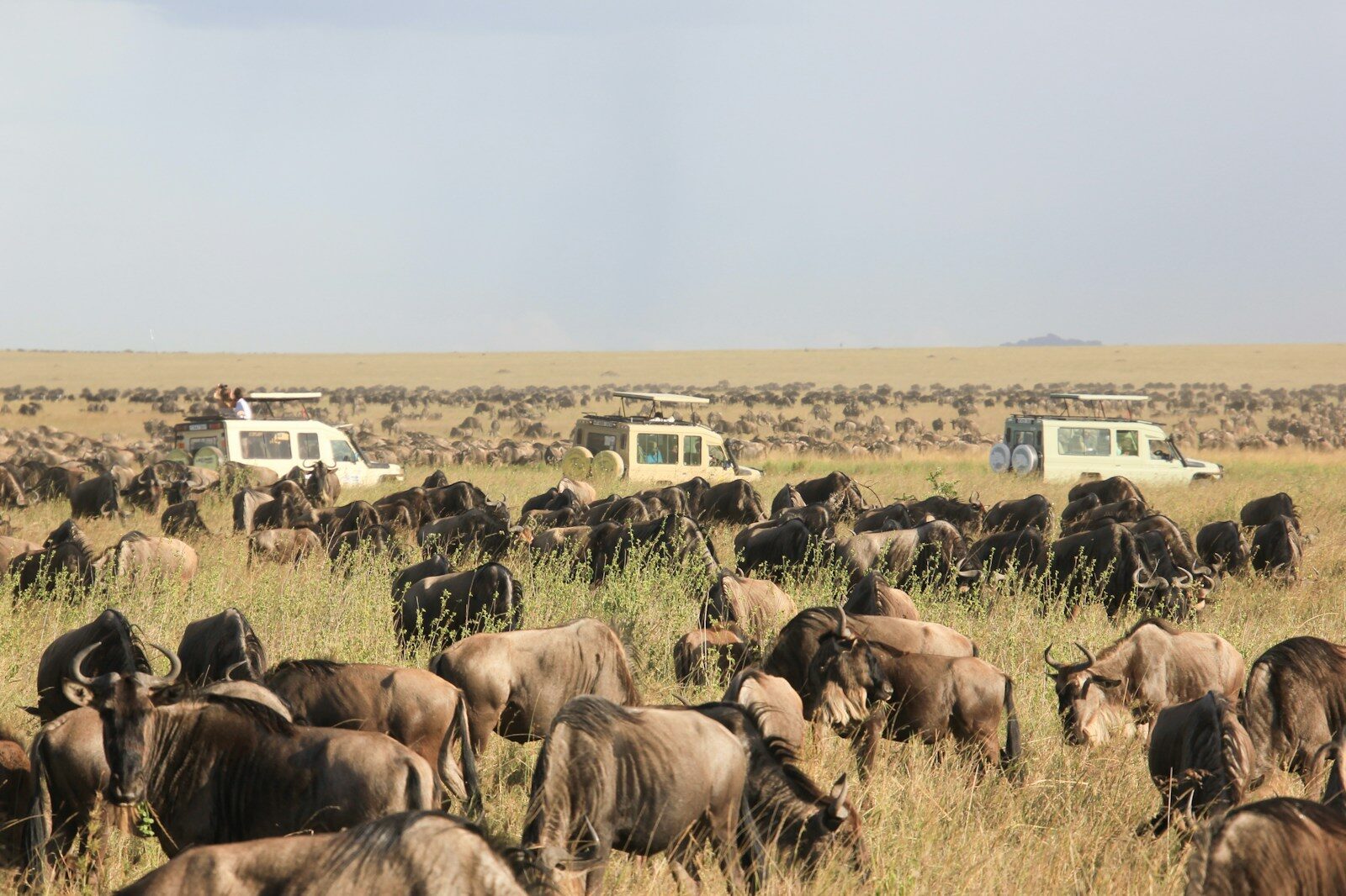 4 DAYS LAKE MANYARA